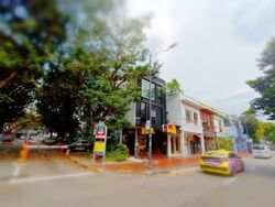 Joo Chiat Road (D15), Shop House #561654481